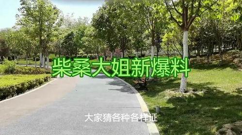 柴桑大姐爆料最新进展,揭秘事件背后惊人真相!